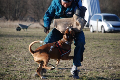 Training in Estonia 30.3 - 1.4. 2007